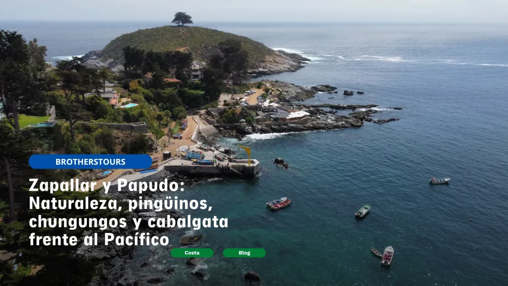 tour Zapallar y Papudo